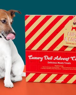 Cupid & Comet Luxury Hundekalender
