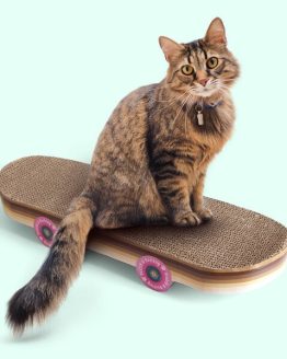 Skateboard Kradsebræt til Kat